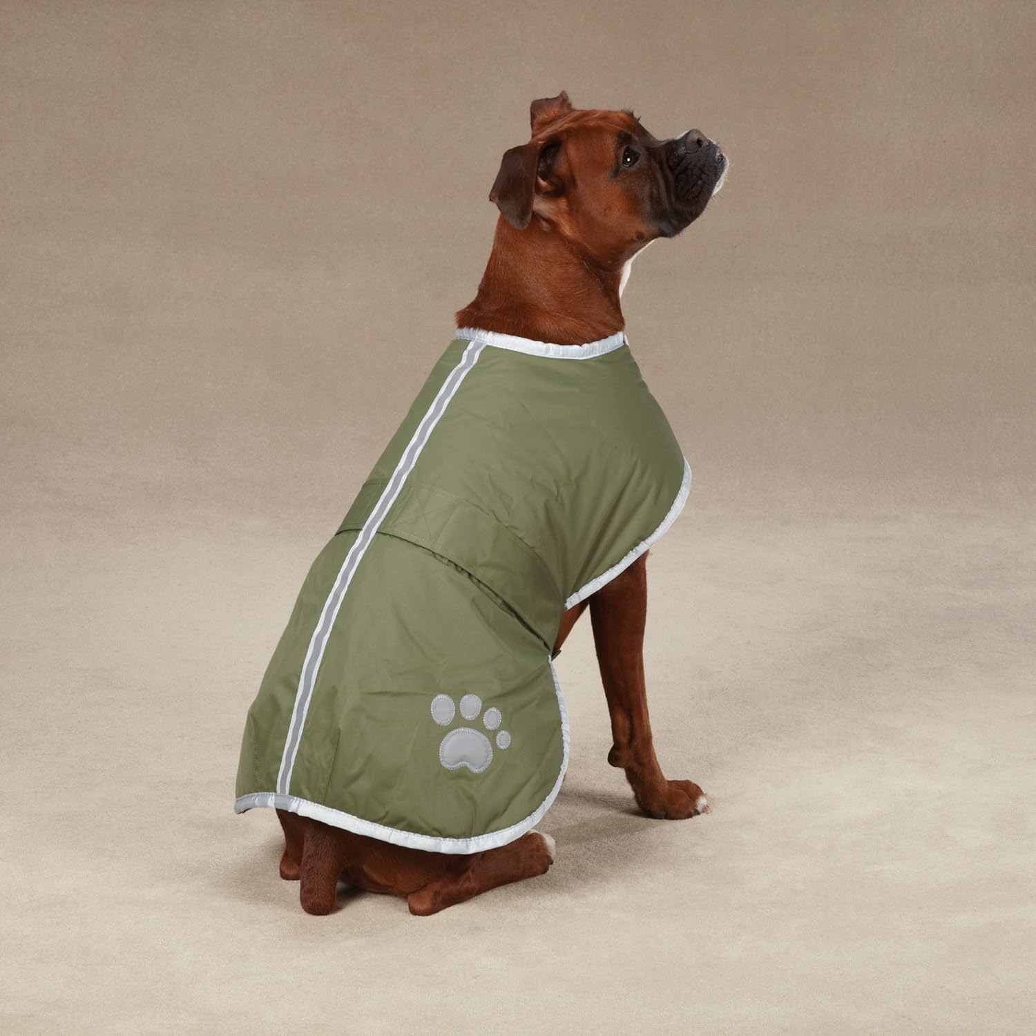Let’s Check The Best Dog Jackets 2020! Nolonger Wild