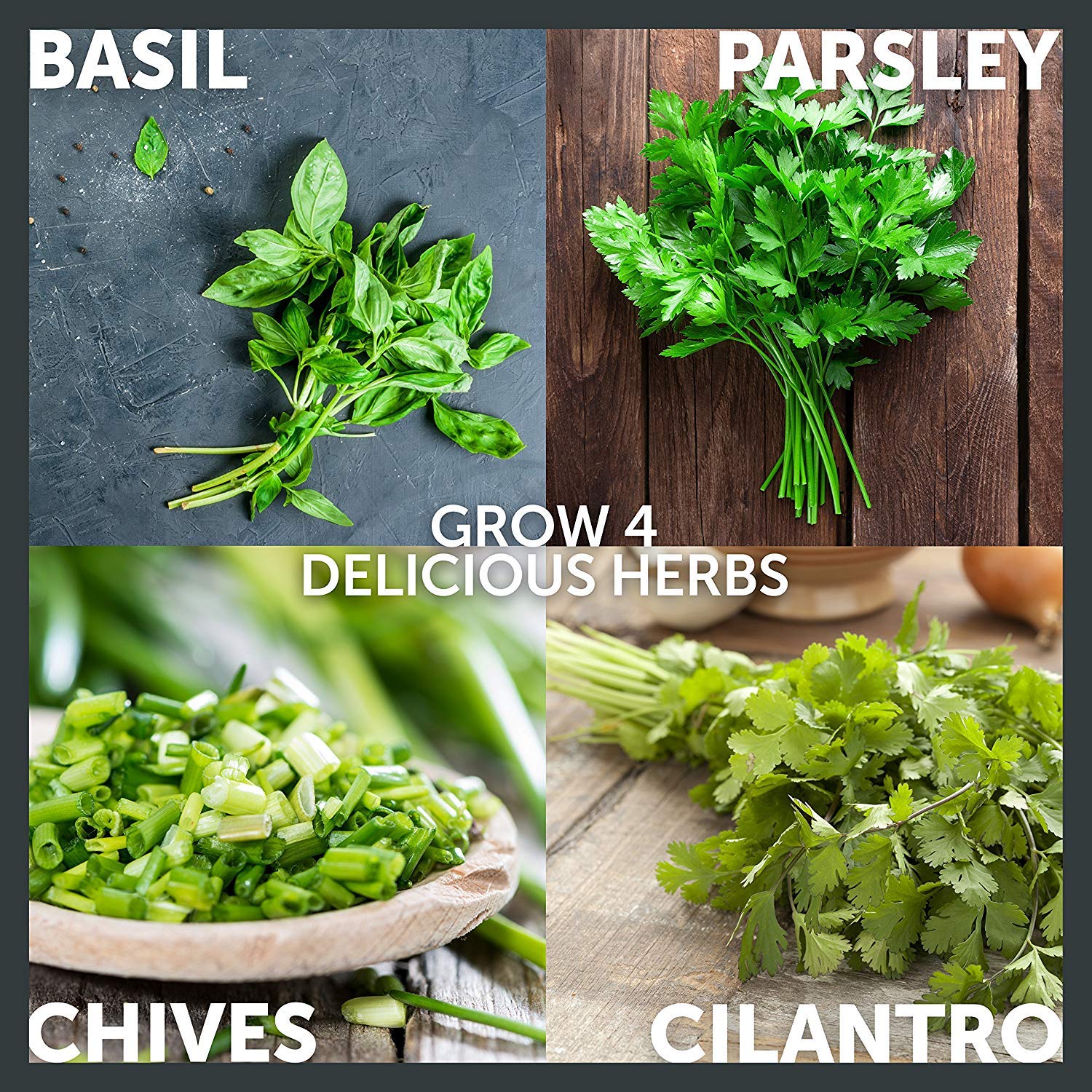 Kit de Cultivo de Hierbas Orgánicas + Molinillo de Hierbas - Kit ...