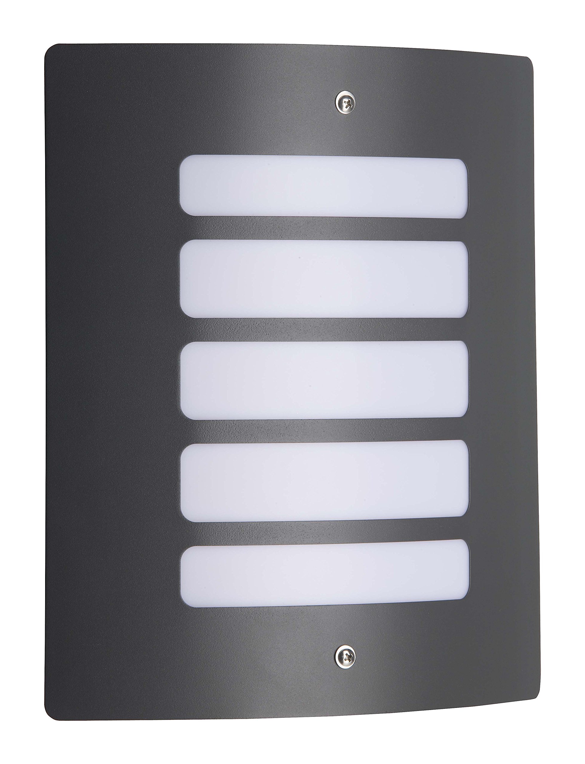 Todd Outdoor Wall/Ceiling Light โ image 1
