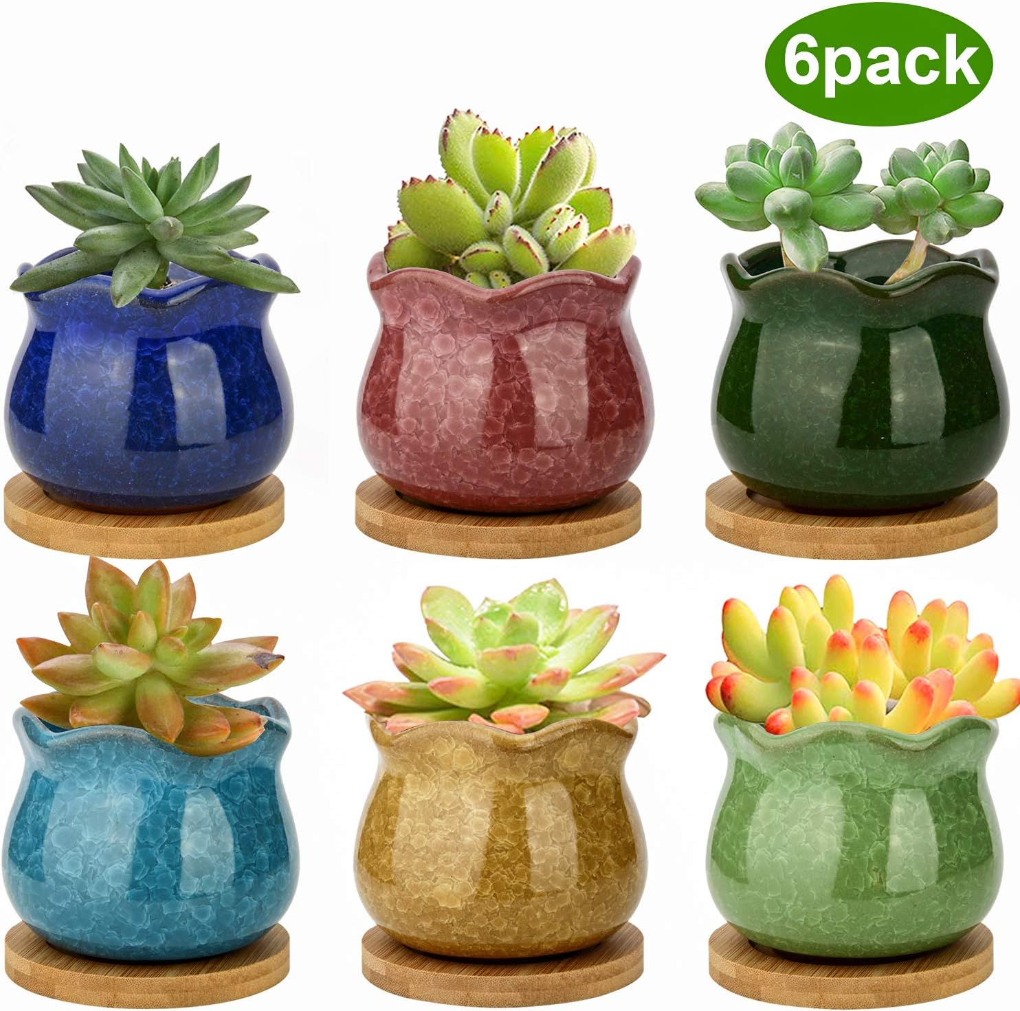 2 95 Inch Succulent Pots Mini Flower Pots With Drinage Succulent Planters With Hole Small Planter Pots Ceramic Pots For Garden Cactu Colourful Glaze Base Serial Patio Lawn Garden Pots