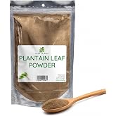Herb To Body Plantain Leaf Powder &ndash; 4oz, Wildcrafted Plantago Major, Finely Ground Plantain Leaf for Herbal Tea, Traditional Herbal Blends, and DIY Preparations