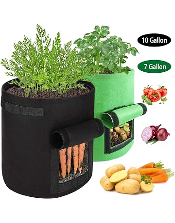 Bolsas para plantas | Amazon.es