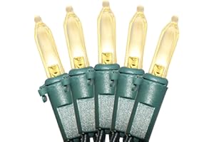 HOLIDAY ESSENCE Christmas LED Lights 100 Warm White String Lights for Indoor and Outdoor Decorative Use, Holiday and Tree Decor, Patio Hanging Lighting Decorations, Green Wire, 26.9 Ft, UL Certified