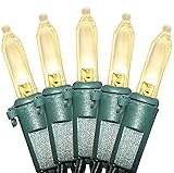 Christmas LED Lights 100 Warm White String Lights