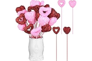 FIONUPI 24 Pcs Valentine's Day Glitter Foam Heart Picks Red Pink Puffy Sparkly Hearts Valentines Floral Sticks or Wedding Flower Arrangements Bouquet Home Holiday Party Crafts Supplies Decor