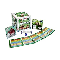 BrainBox Animals Card Game - Memory & Observation