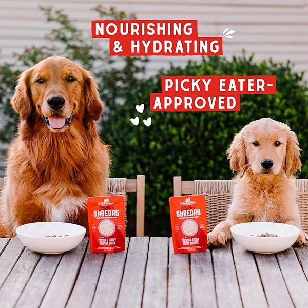 STELLA & CHEWY’S GRASS FED BEEF & LAMB SHREDRS – PREMIUM DOG FOOD POUCHES – PERFECT FOR PICKY EATERS – 12 PACK, 2.8OZ EACH