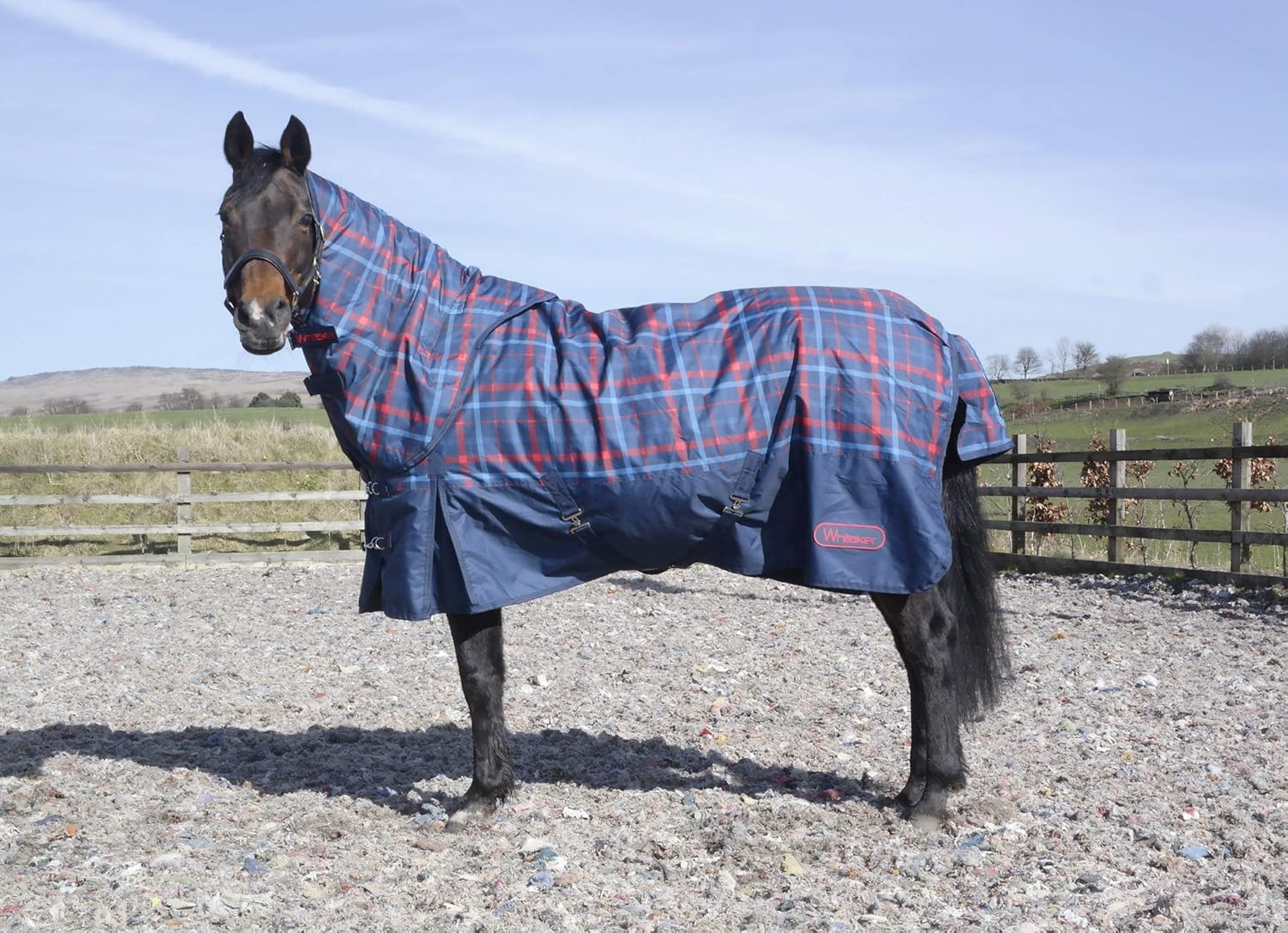 Super Saturday John Whitaker Combo 200g Turnout Horse Rug With Hood 6 6