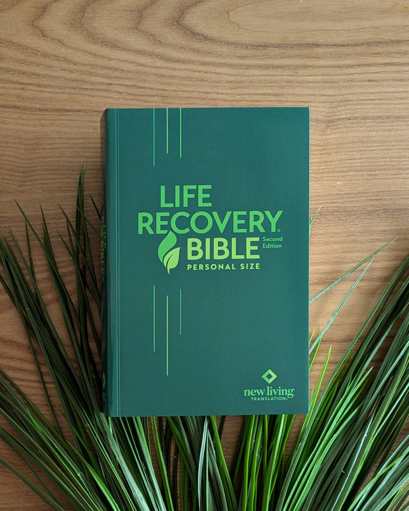 NLT Life Recovery Bible, Second Edition, Personal Size (Softcover): Addiction Bible Tied to 12 Steps of Recovery for Help with Drugs, Alcohol, Personal Struggles - With Meeting Guide NLT Life Recovery Bible, Second Edition, Personal Size (Softcover): Addiction Bible Tied to 12 Steps of Recovery for Help with Drugs, Alcohol, Personal Struggles - With Meeting Guide Paperback