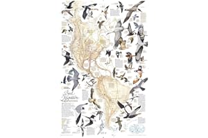 National Geographic Bird Migration, Western Hemisphere Wall Map (20.25 X 31.25 In)
