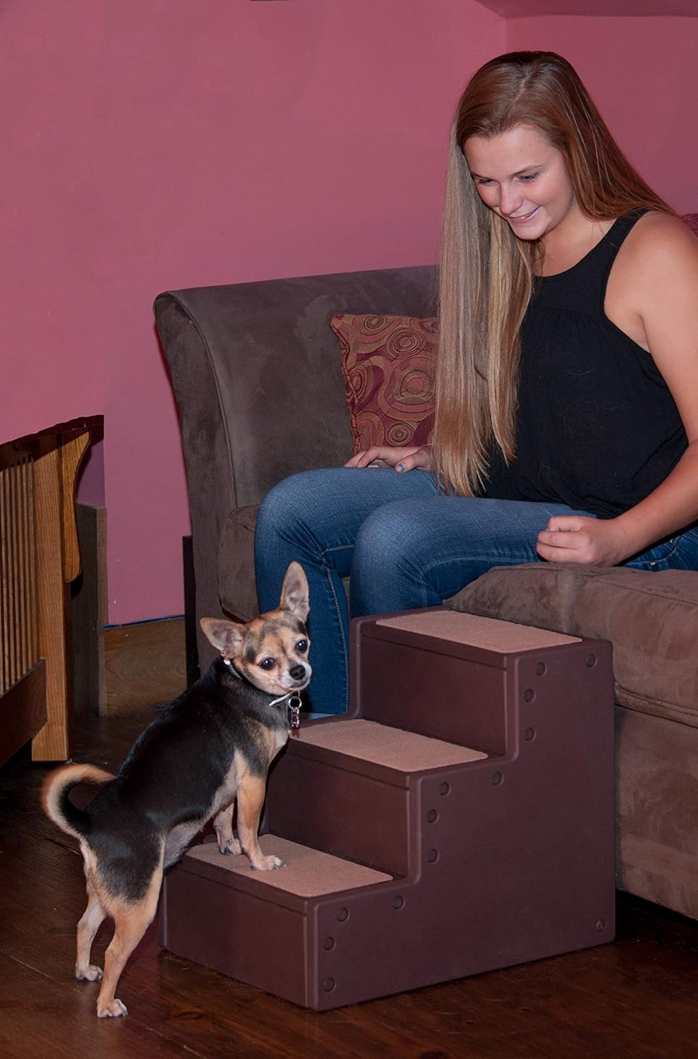 Pet Gear Pet Step with stair landing for small dogs, miniatures, and cats, for pets up to 50 pounds : Pet Supplies