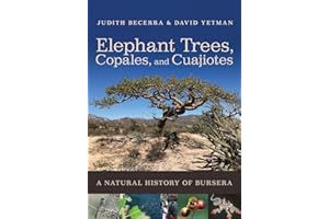 Elephant Trees, Copales, and Cuajiotes: A Natural History of Bursera