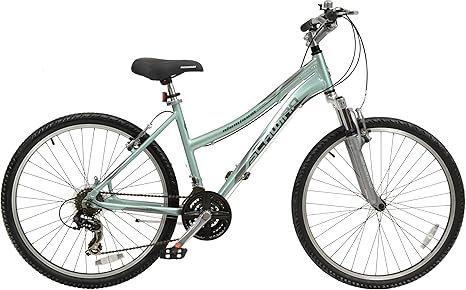 mint green mountain bike