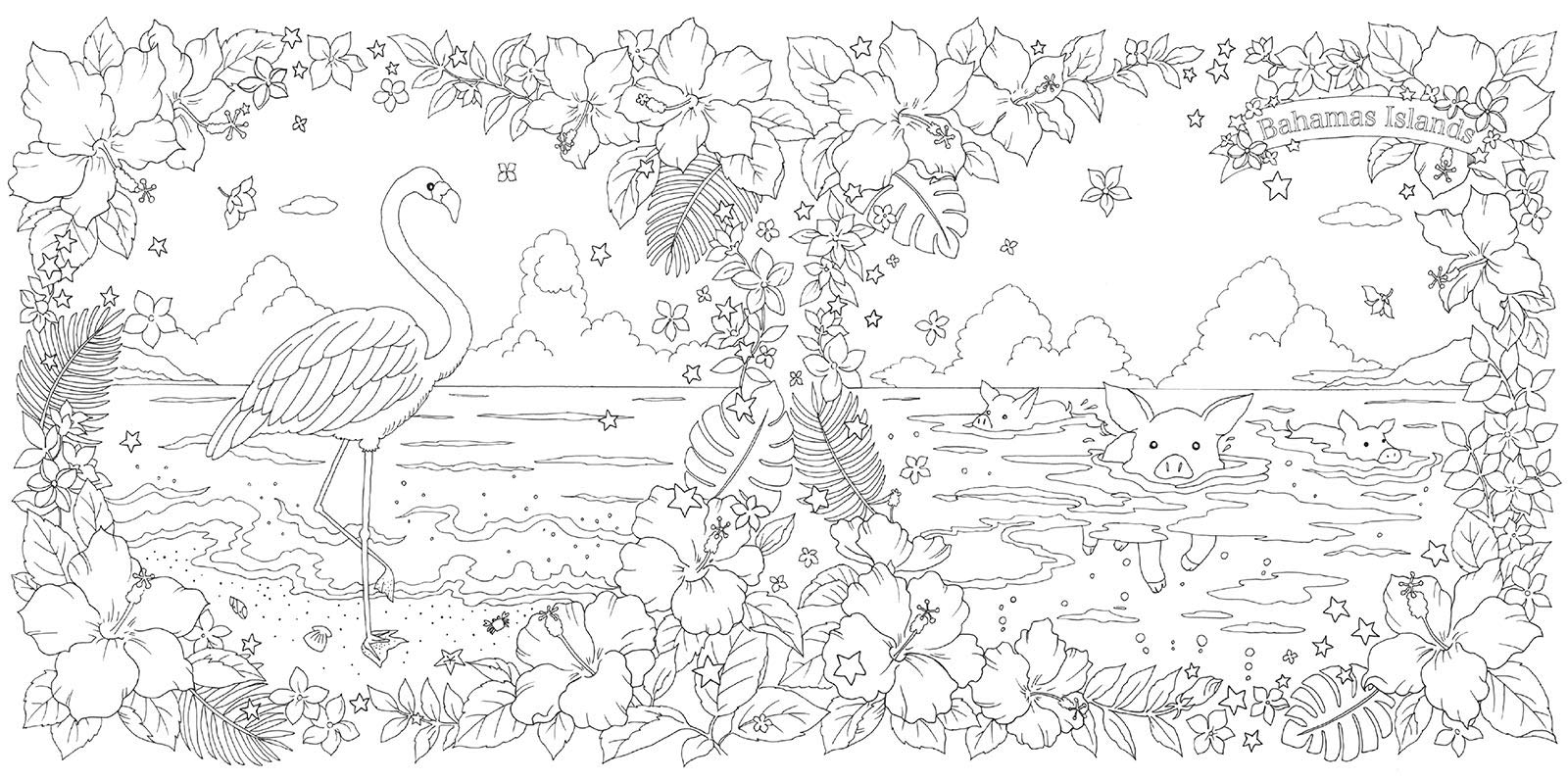 ぬり絵 花のさんぽ道 その2 世界の美しい島々の花と風景 9784865462647 Amazon Com Books