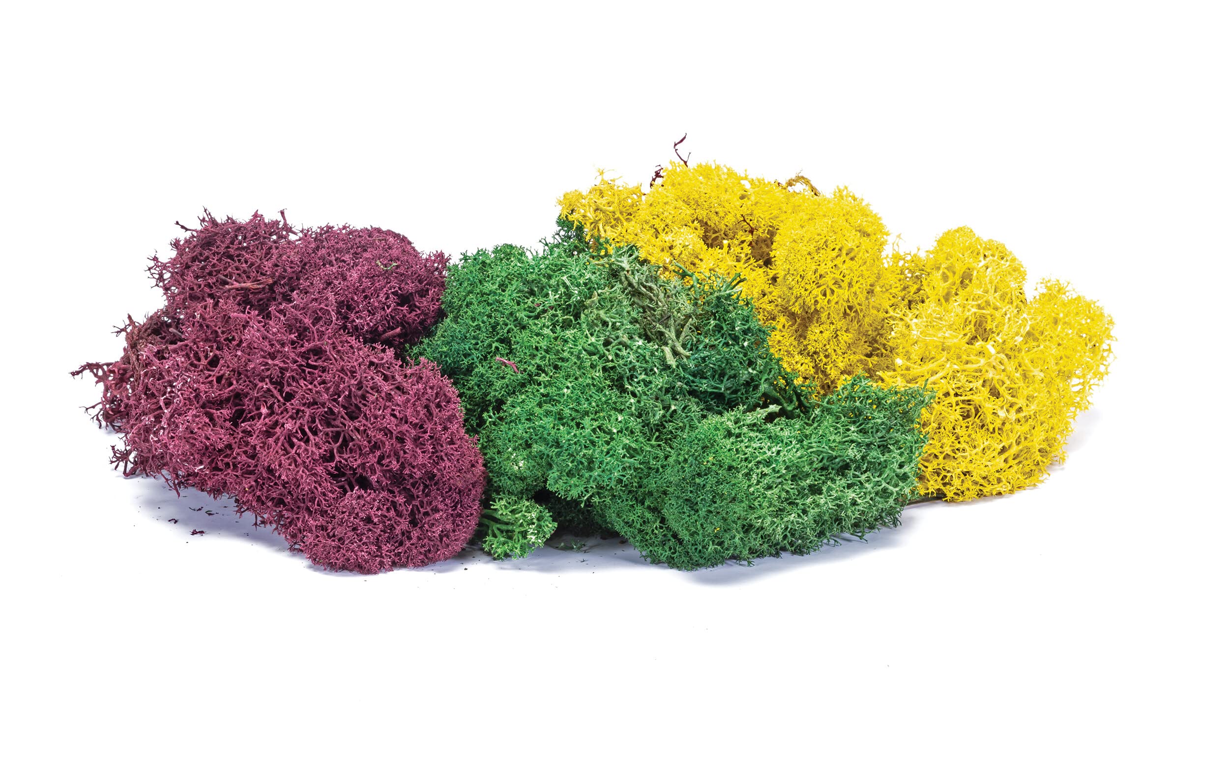 Hornby R7197 Lichen - Large Autumn Mix for Model Railway OO Gauge, Hornby Accessories for Adding Scenery, Dioramas, Woodland, Buildings and More, Model Making Kits - 1:76 Scale Accessory