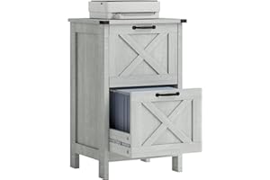 HOMCOM 2 Drawer Vertical File Cabinet with Silent Slides, Rustic Farmhouse Filing Cabinet with Barn Doors for A4/Letter Size, Printer Stand with Storage for Home Office, Distressed Light Gray