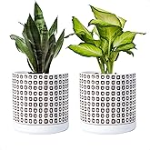 D'vine Dev Set of 2 Ceramic Planter Pots with Drainage Hole and Saucer, 6 Inch Plant Pots for Plants Indoor Houseplants, White, 99-Z-A-1-Y
