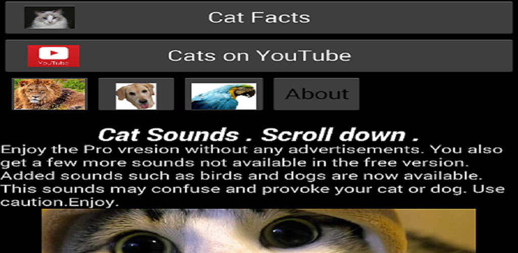 Talk Cat Translator for Android