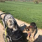 karlie sport buggy für hunde