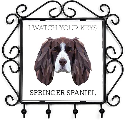 Amazon イングリッシュ スプリンガー スパニエル 犬キーハンガーのイメージを使用し 幾何コレクション フック オンライン通販 Amazon イングリッシュ スプリンガー スパニエル 犬キーハンガーのイメージを使用し 幾何コレクション フック オンライン通販
