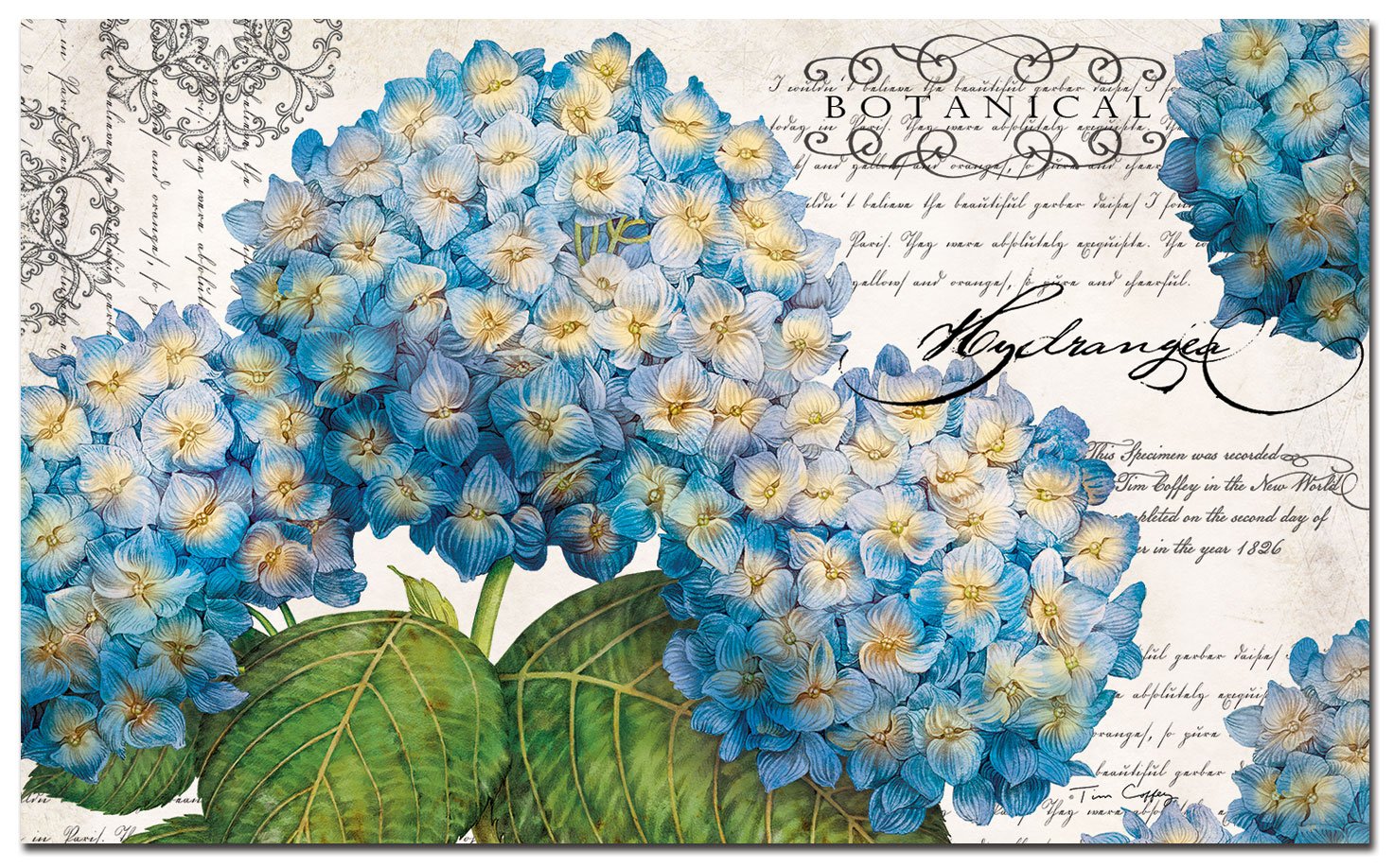 Best Padded Kitchen Floor Mats Decorative