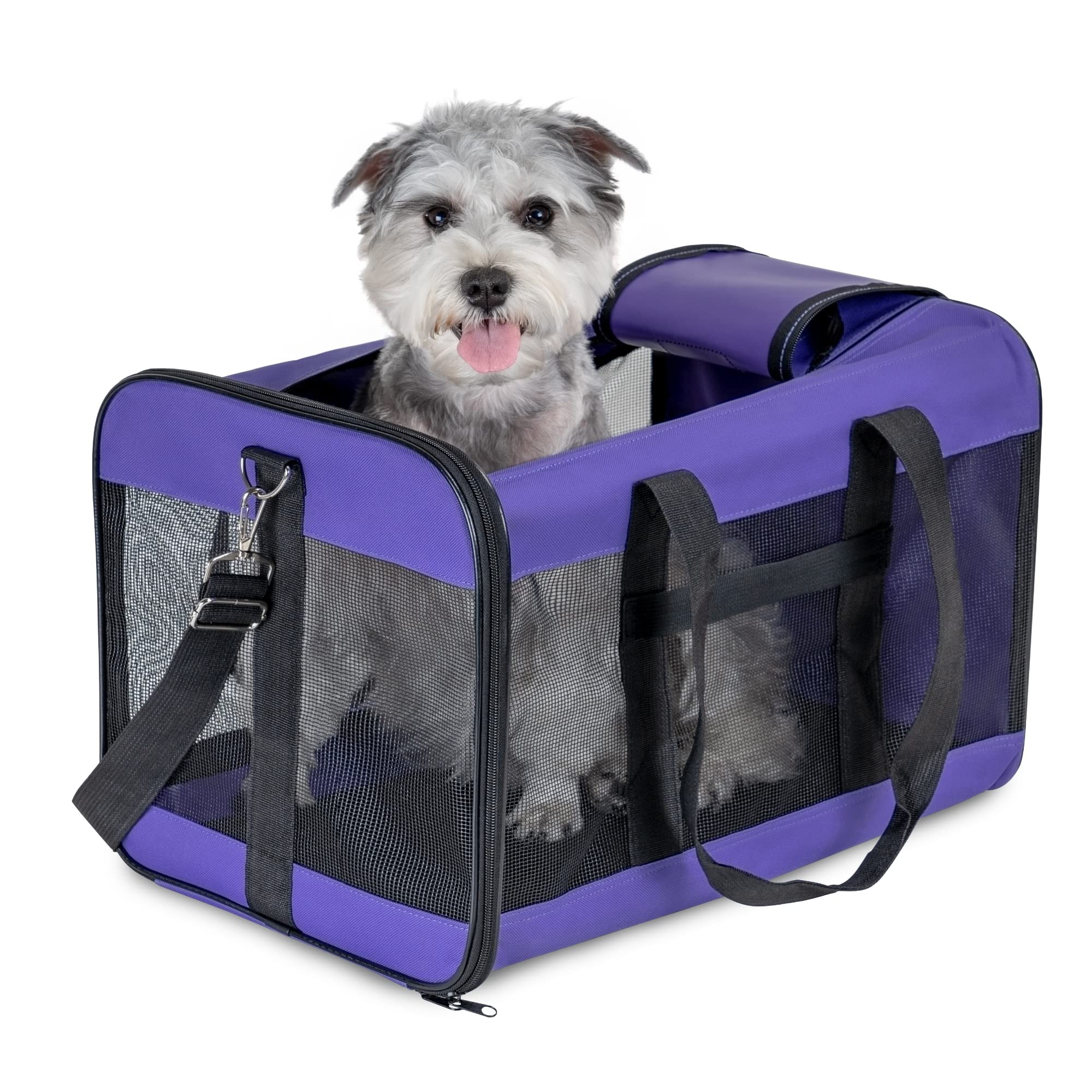 HITSLAM Pet Carrier Dog Carrier Soft Sided Pet Travel Carrier for Cats, Small dogs, Kittens or Puppies, Collapsible, Durable, Travel Friendly Purple (L)