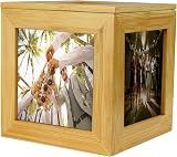 Maison & White Bamboo Photo Cube Keepsake Box – 5 Frame Display 7.5cm view 4