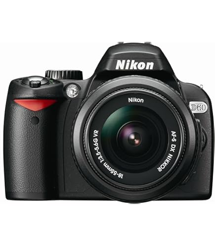 ⭐️美品⭐️Nikon ニコン D60 18-55 VRⅡ★ショット数3788★ ⭐️美品⭐️Nikon ニコン D60 18-55 VRⅡ☆ショット数3788☆