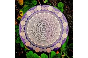 Polarizing Disk with Harmonic Balancing & Water Energization for Meditation, Home Decor and Crystal Care for Water Energizati