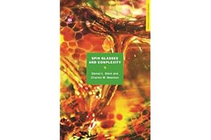 Spin Glasses and Complexity