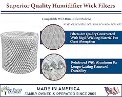 2-Pack Air Filter Factory Replacement For Sunbeam