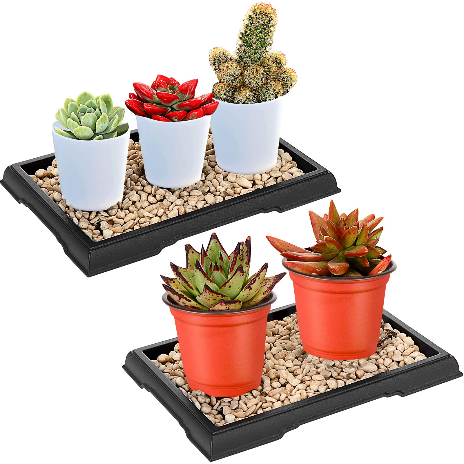 Photo 1 of Pinkunn 2 Pcs 2 Pack Bonsai Humidity Tray Drip Tray Plastic Plant Water Catcher Plant Saucers for Indoors and Outdoors Cactus, Succulents, Bonsai Tree, Stone Not Included (7.8 x 5.5 Inch)