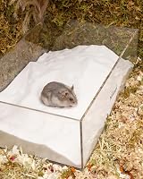 Niteangel Hamster Desert Bath Sand No-Dust 6 lb Small Pet Bathing Sand view 6