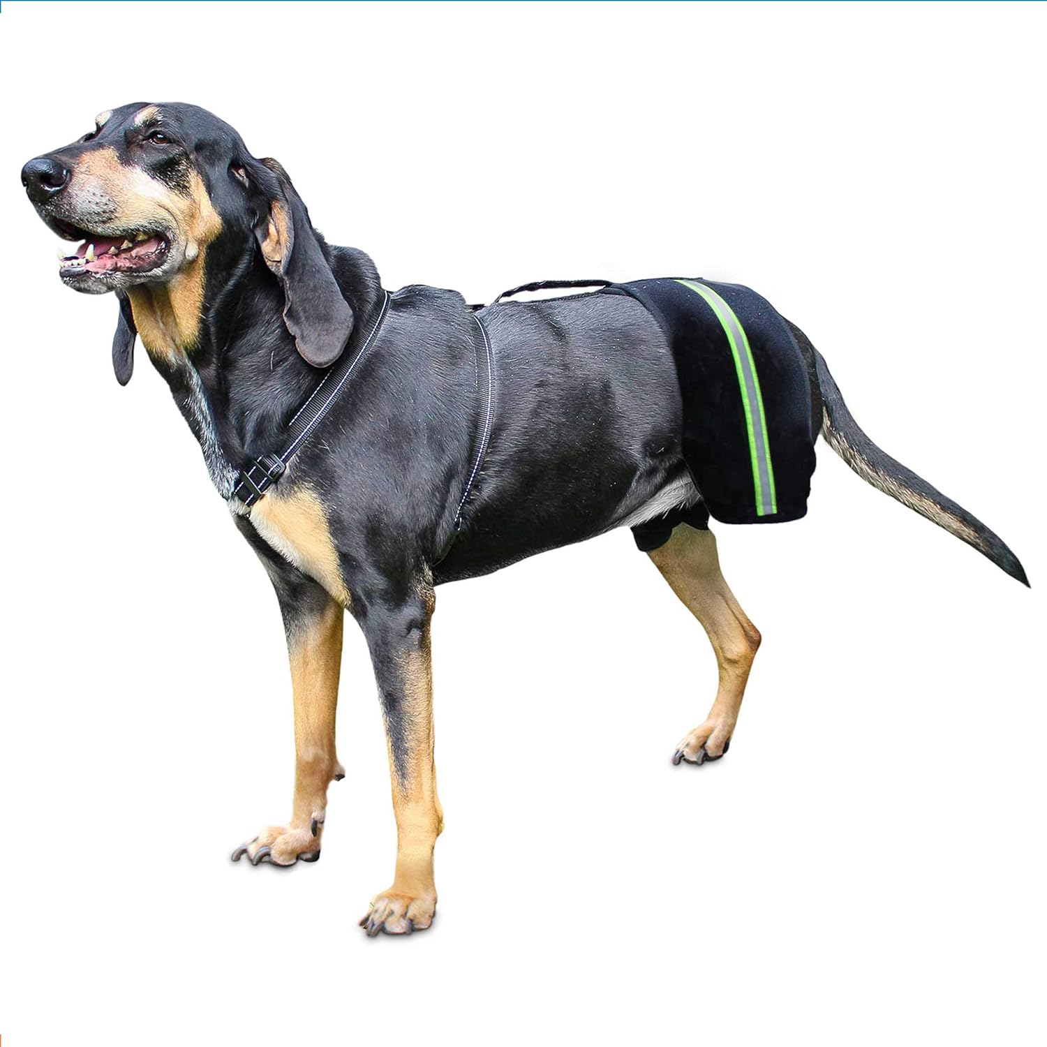 dog hip brace amazon