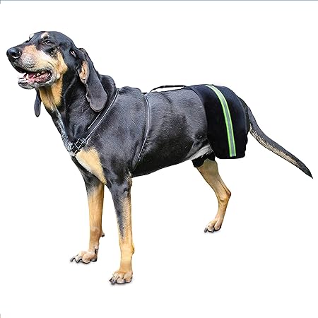 hip hound brace amazon