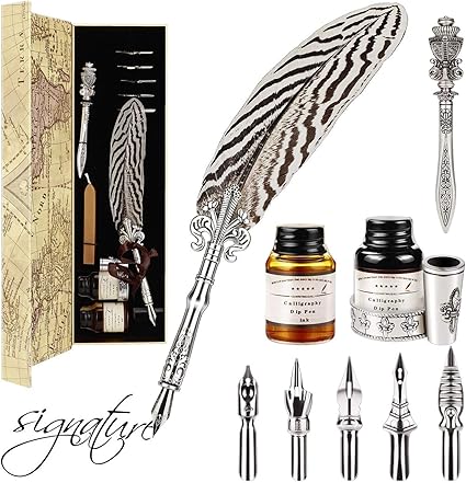 Stylo Dip A Plume Plume D Oie A Ecrire Avec Encre Ecriture Stylo De Calligraphie Retro Plume D Encre Trempe A La Main Avec 5 Points Support Encre Et Coupe Papier Un Cadeau Parfait Amazon Fr