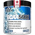 BCAA Powder | 5G Branched Chain Amino Acids | Protein Synthesis, Muscle Building & Workout Support | 2:1:1 Ratio BCAA Amino A