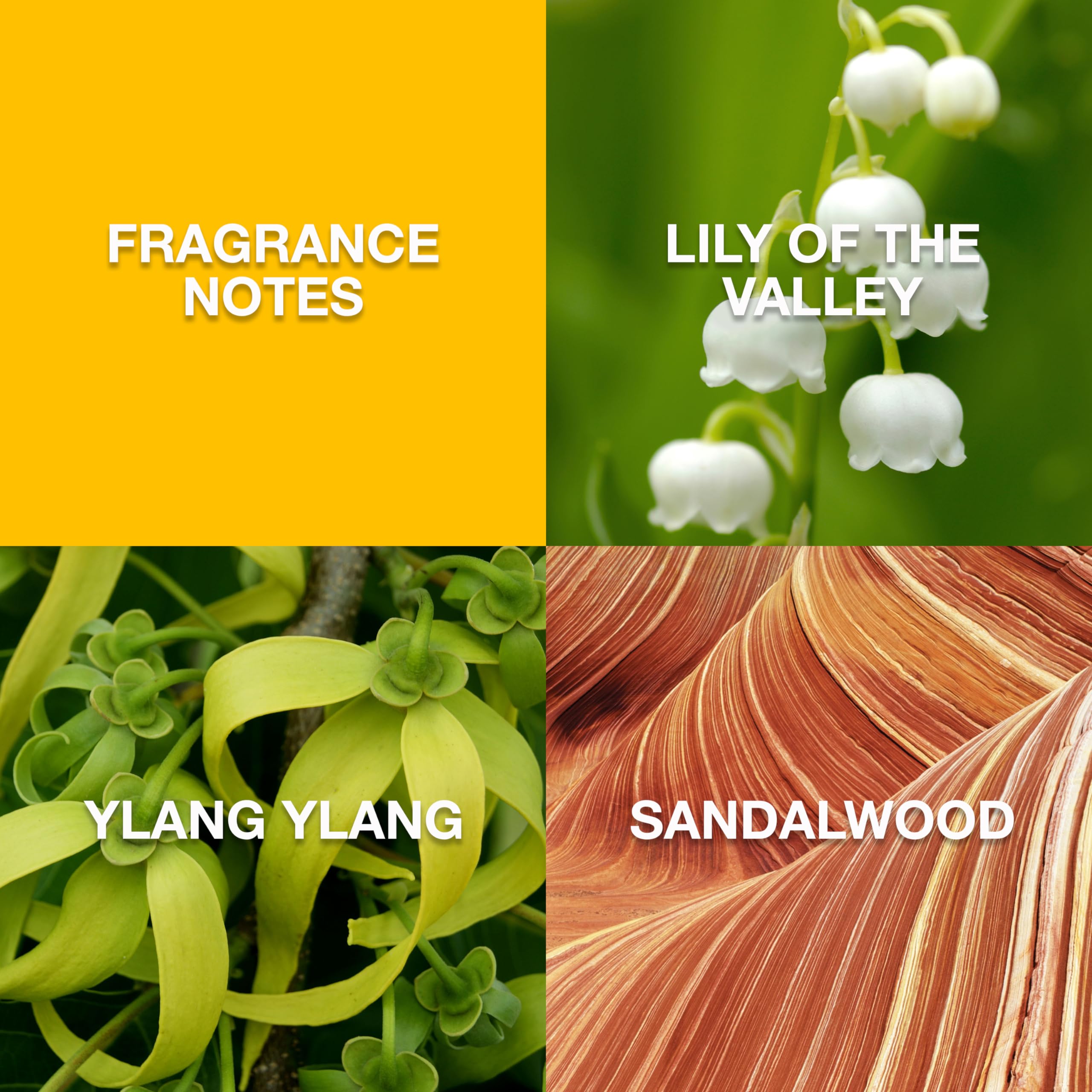 Liz Claiborne Eau De Toilette Spray For Women, Perfume Gift for Women, 3.4 fl oz