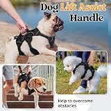rabbitgoo Escape-Proof Small Dog Harness with Handle Reflective Black S view 4