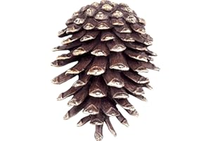 ZECKOS Pinecone Doorknocker