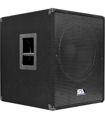 Amazon.com: Behringer EUROLIVE B1200D-PRO High-Performance Active