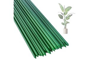 PROWORX 36 Inch 3 Ft Plant Support Garden Stakes 25 PCS, Sturdy Steel Plastic Coated Sticks for Outdoor Growing Climbing, Tomato, Trees, Cucumber, Beans