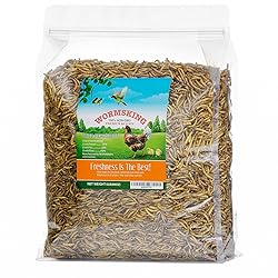 WORMSKING 5LB Dried Mealworms, Great Treat for