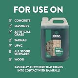 GLEAN Green Clean Algae Remover 1L Covers 10m² Ready to Use Spray view 7