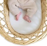 Clair de Lune Moses Basket Fibre Mattress Hypo-Allergenic 65x28 cm