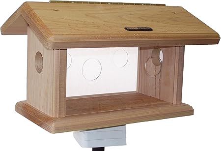 Amazon Com Birds Choice Bluebird Mealworm Feeder Wild Bird