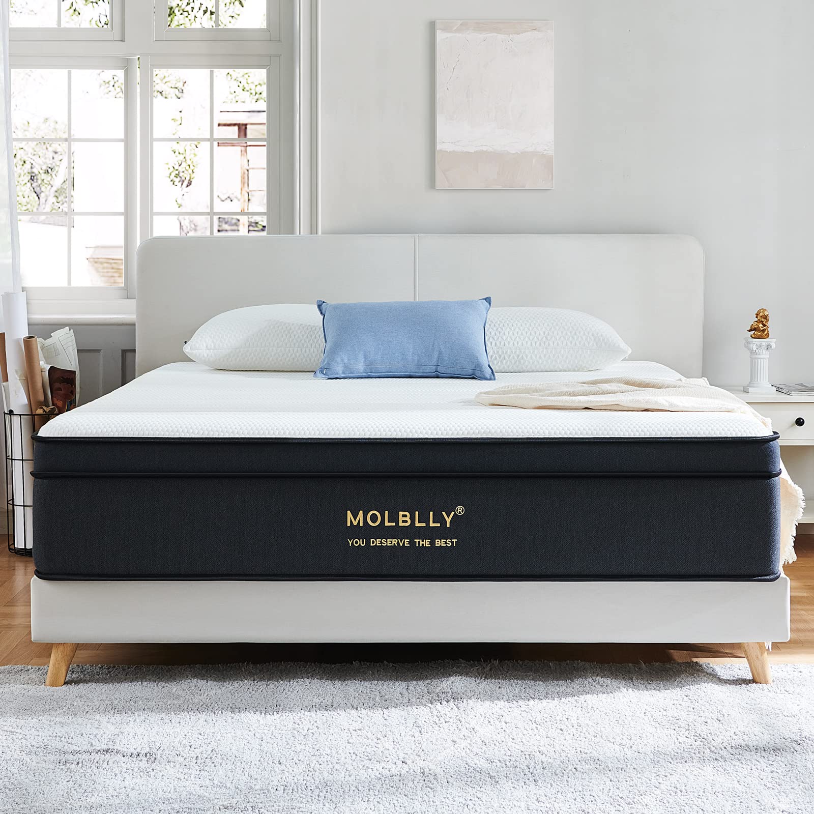 Molblly Mattress, 12 Inch Hybrid Queen Size Foam Mattress in a Box, Individually Wrapped Pocket Coils Innerspring, Pressure-Relieving and Supportive, Non-Fiberglass Mattressess 12 * 60 * 80 Inch