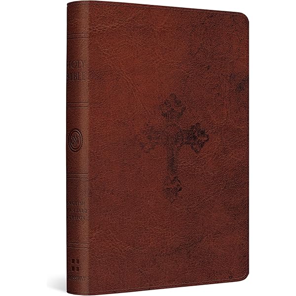 MANIMAL Special edition　Terry Richardson mqdefault.jpg