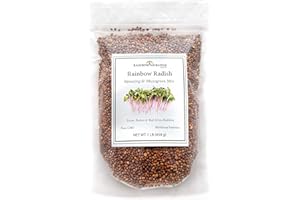 Rainbow Radish Sprouting Seeds Mix | Heirloom Non-GMO Seeds for Sprouting & Microgreens | Contains Red Arrow, Purple Triton & White Daikon Radish Seeds 1 lb Resealable Bag | Rainbow Heirloom Seed Co.