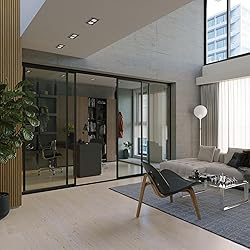 Doors 55 Glass Partition Wall & 4 Panel Room